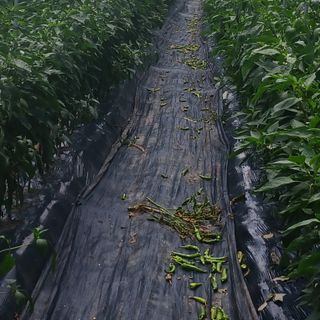 오화순님의 자유주제 · 자유게시판 작성글 사진