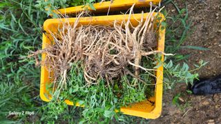 박현주님의 작성글 사진