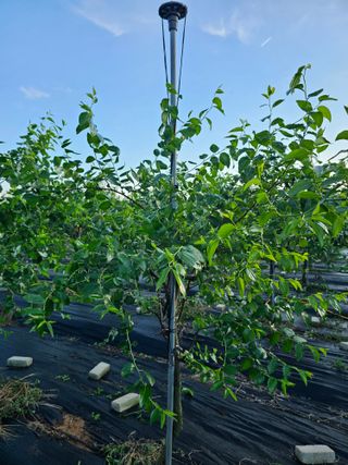 망운천지향토농원님의 자유주제 · 자유게시판 작성글 사진