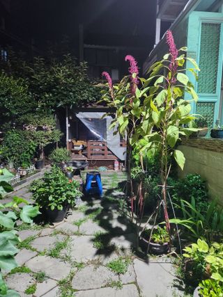 kis님의 자유주제 · 자유게시판 작성글 사진