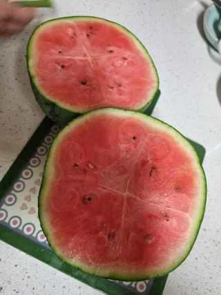 연산나무농장님의 자유주제 · 자유게시판 작성글 사진