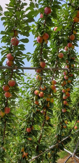 황석중님의 자유주제 · 칭찬해요 작성글 사진