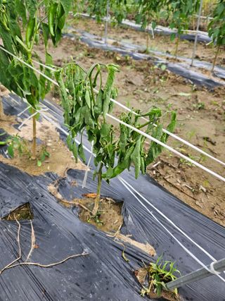 정재남님의 자유주제 · 자유게시판 작성글 사진