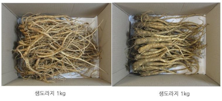 박현주님의 장터 판매 상품 [ㅂ[재민농장] 전남 화순 2년근 생도라지] 첨부 사진