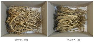 박현주님의 작성글 사진