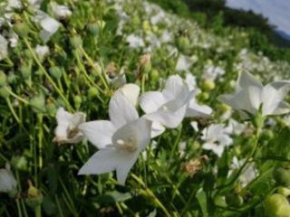박현주님의 작성글 사진
