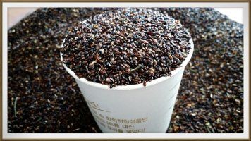 박현주님의 장터 판매 상품 [ㅂ[재민농장] 전남 화순 2년근 생도라지] 첨부 사진