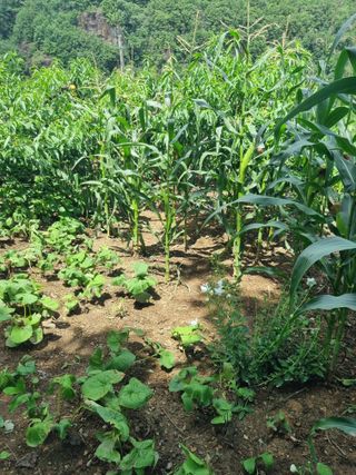 김용대님의 자유주제 · 자유게시판 작성글 사진