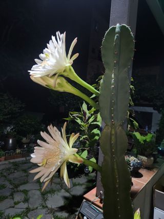 kis님의 자유주제 · 자유게시판 작성글 사진