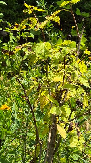김진님의 자유주제 · 자유게시판 작성글 사진