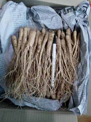 박현주님의 작성글 사진