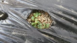 박현주님의 작성글 사진