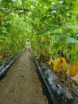 팜모닝 자유주제·자유게시판 게시글 이미지