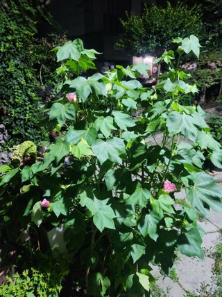 kis님의 자유주제 · 자유게시판 작성글 사진