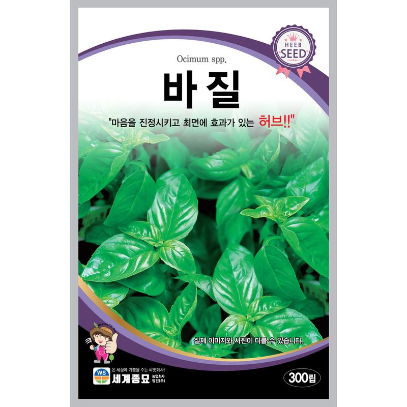 장터 상품 [[세계] 바질 300립 / 허브 씨앗/ 바질 씨앗] 썸네일