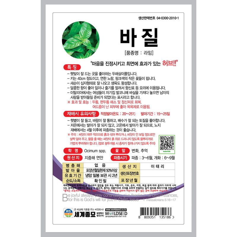 주주씨앗님의 장터 판매 상품 [[세계] 바질 300립 / 허브 씨앗/ 바질 씨앗] 첨부 사진