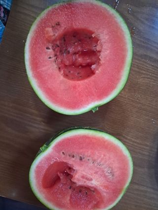 조명희님의 자유주제 · 자유게시판 작성글 사진