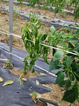 정재남님의 자유주제 · 자유게시판 작성글 사진