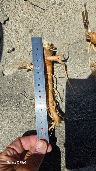 박현주님의 작성글 사진