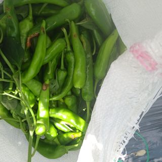 오화순님의 자유주제 · 자유게시판 작성글 사진