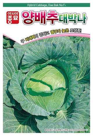 아시아종묘님의 자유주제 · 자유게시판 작성글 사진