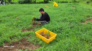 박현주님의 작성글 사진