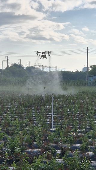 우리농원님의 자유주제 · 자유게시판 작성글 사진