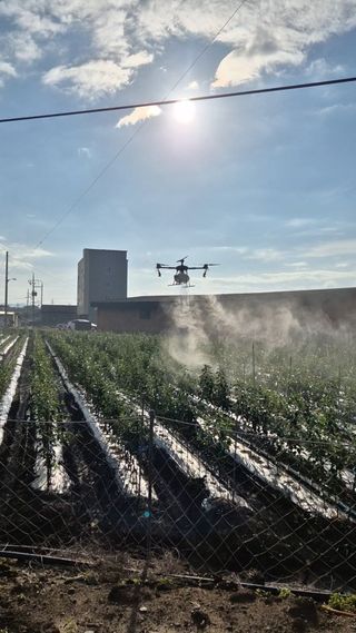 우리농원님의 자유주제 · 자유게시판 작성글 사진