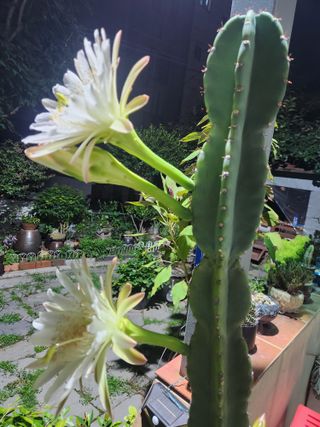 kis님의 자유주제 · 자유게시판 작성글 사진