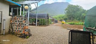 최갑수 님의 🌦 폭우 피해, 농민 분들 괜찮으신가요? 서로 위로의 말 나눠요 🤝 · 참여글 작성글 사진