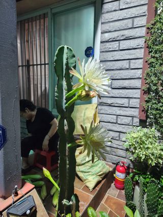 kis님의 자유주제 · 자유게시판 작성글 사진