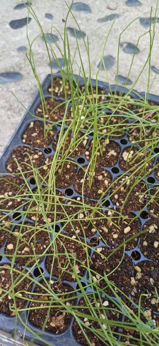 이강재님의 자유주제 · 자유게시판 작성글 사진