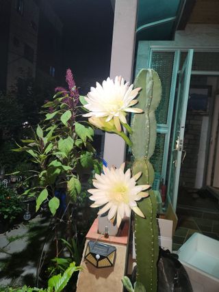 kis님의 자유주제 · 자유게시판 작성글 사진