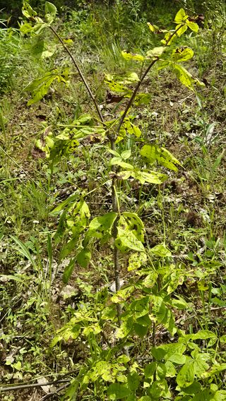 김진님의 자유주제 · 자유게시판 작성글 사진