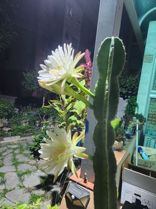 kis님의 자유주제 · 자유게시판 작성글 사진