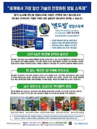 대산농사대장님의 양파 · 자유게시판 작성글 사진