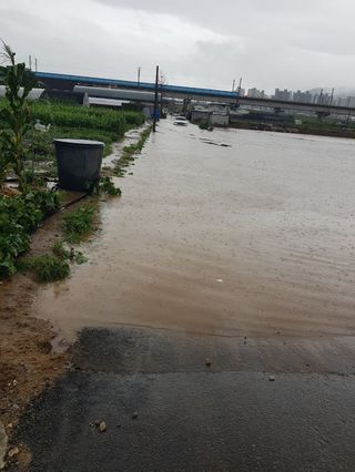 오영배님의 🌦 폭우 피해, 농민 분들 괜찮으신가요? 서로 위로의 말 나눠요 🤝 · 참여글 작성글 사진