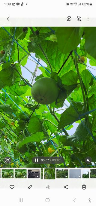 제주부자팜님의 자유주제 · 자유게시판 작성글 사진