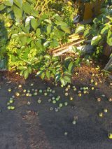 팜모닝 자유주제·자유게시판 게시글 이미지