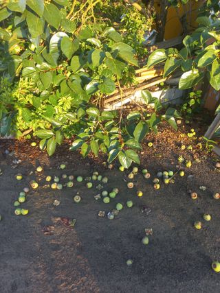 유용진님의 자유주제 · 자유게시판 작성글 사진