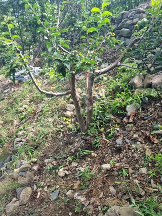 김용대님의 자유주제 · 자유게시판 작성글 사진