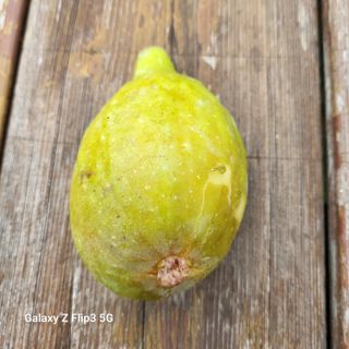 칠곡가산 최지훈님의 자유주제 · 자유게시판 작성글 사진