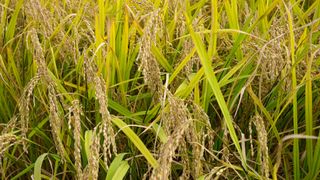 누보농장님의 자유주제 · 자유게시판 작성글 사진