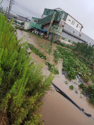 오영배님의 🌦 폭우 피해, 농민 분들 괜찮으신가요? 서로 위로의 말 나눠요 🤝 · 참여글 작성글 사진