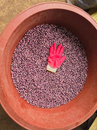 장관덕님의 자유주제 · 자유게시판 작성글 사진