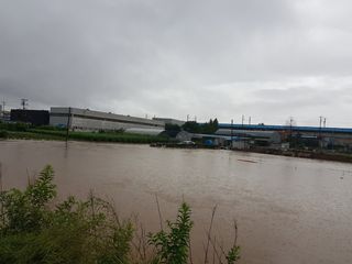 오영배님의 🌦 폭우 피해, 농민 분들 괜찮으신가요? 서로 위로의 말 나눠요 🤝 · 참여글 작성글 사진