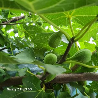 칠곡가산 최지훈님의 자유주제 · 자유게시판 작성글 사진