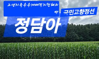 장관덕님의 자유주제 · 자유게시판 작성글 사진