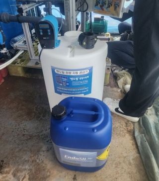 대산농사대장님의 양파 · 자유게시판 작성글 사진