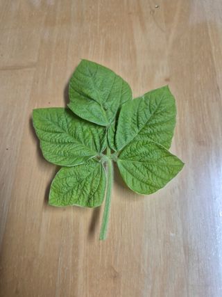 김상진님의 자유주제 · 자유게시판 작성글 사진